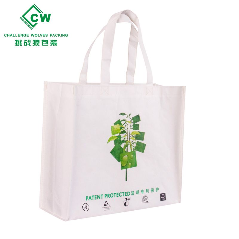 PLA Non Woven Bag